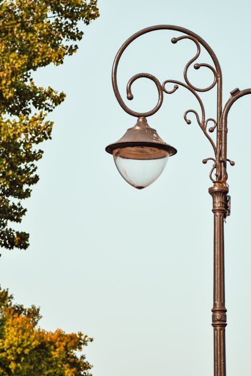 Close-up Photo of a Street Lamp