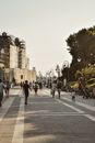 People Walking on Street