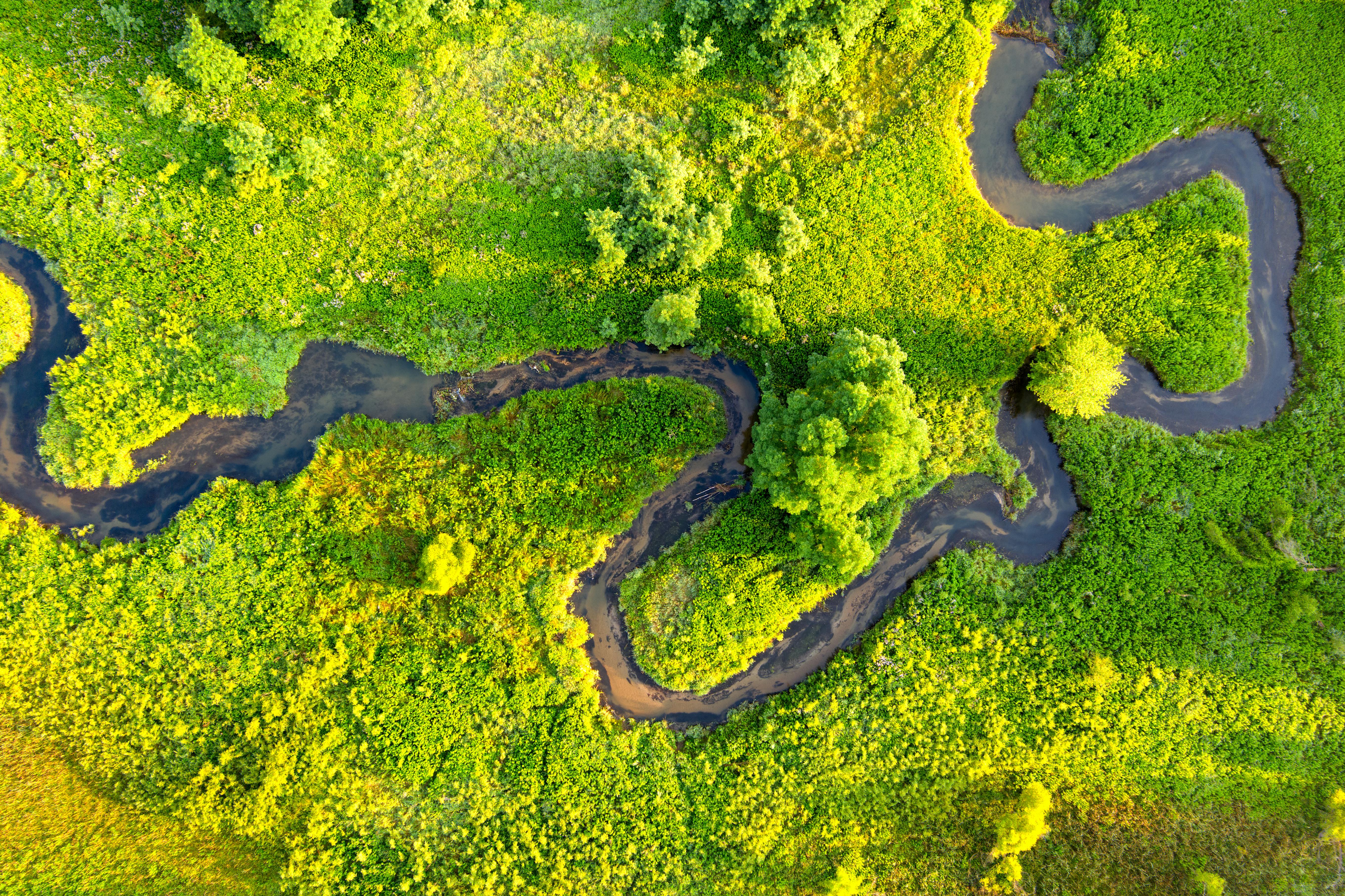 corporate governance esg good governance esg — Photo by Tom Fisk on Pexels