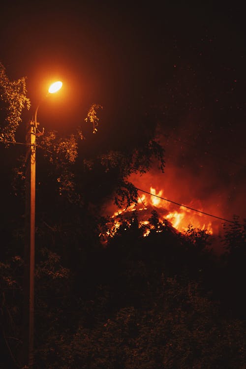 Бесплатное стоковое фото с вертикальный выстрел, деревья, дым