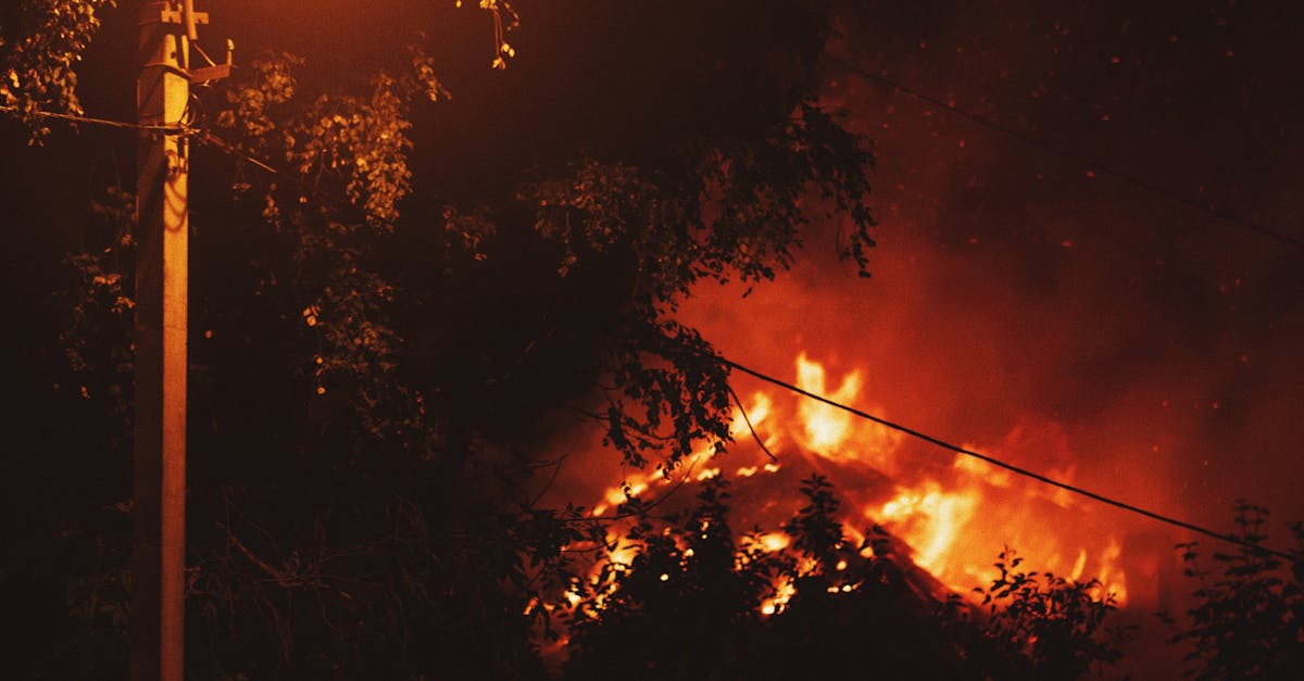 Photo by needtofly A dramatic wildfire burns fiercely among trees, casting an intense glow under a streetlamp during the night.