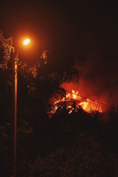 Free A dramatic wildfire burns fiercely among trees, casting an intense glow under a streetlamp during the night. Stock Photo
