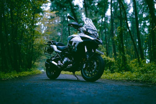 Parked Motorcycle on Forest Road