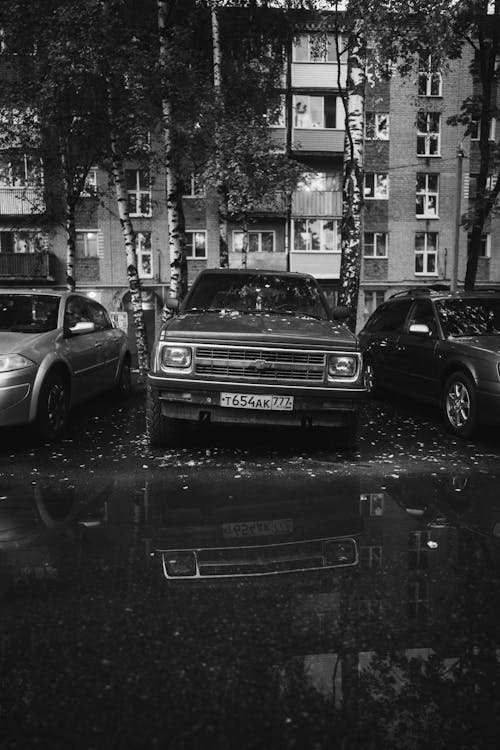 Grayscale Photo of Cars Parked Near Trees