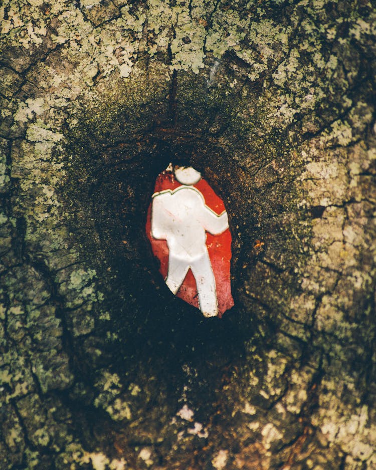 Human With Backpack Shape In Hole In Wood