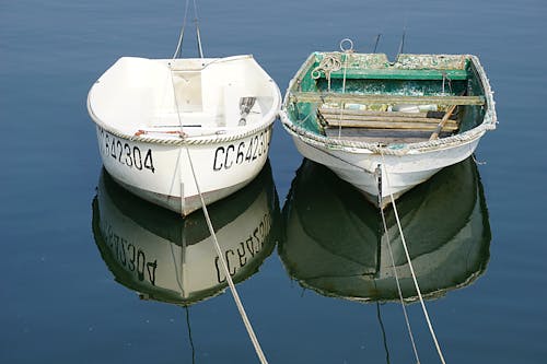 Gratis arkivbilde med barques, bateaux, bateaux de pêcheurs