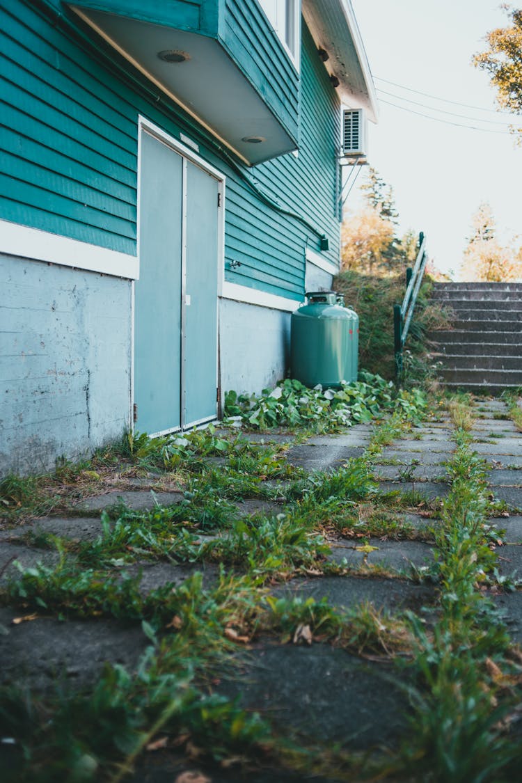 Grass Growing On Tiles Near House