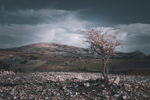 Landscape of Mountains and Fields Under a Dark Sky 