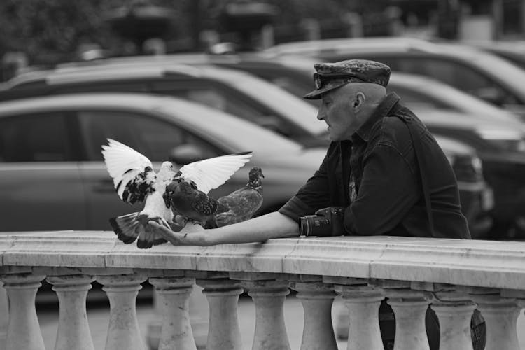 Old Man With Pigeons On City Bridge