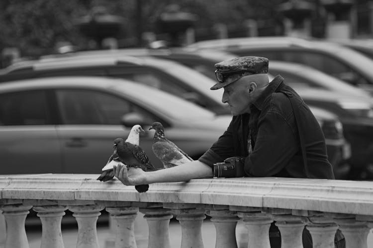 Elderly Man Feeding Pigeons 