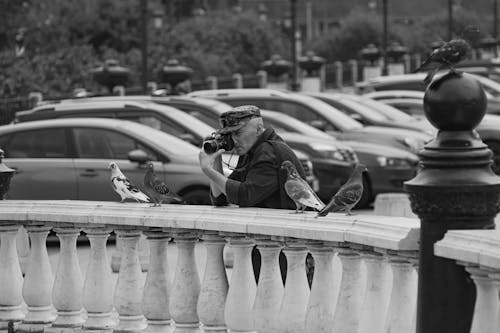 A Grayscale Photo of a Man in Black Jacket Taking Pictures Near the Birds on the Bridge