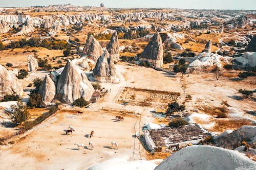 Kostnadsfri bild av cappadocia, djur, drönarbilder