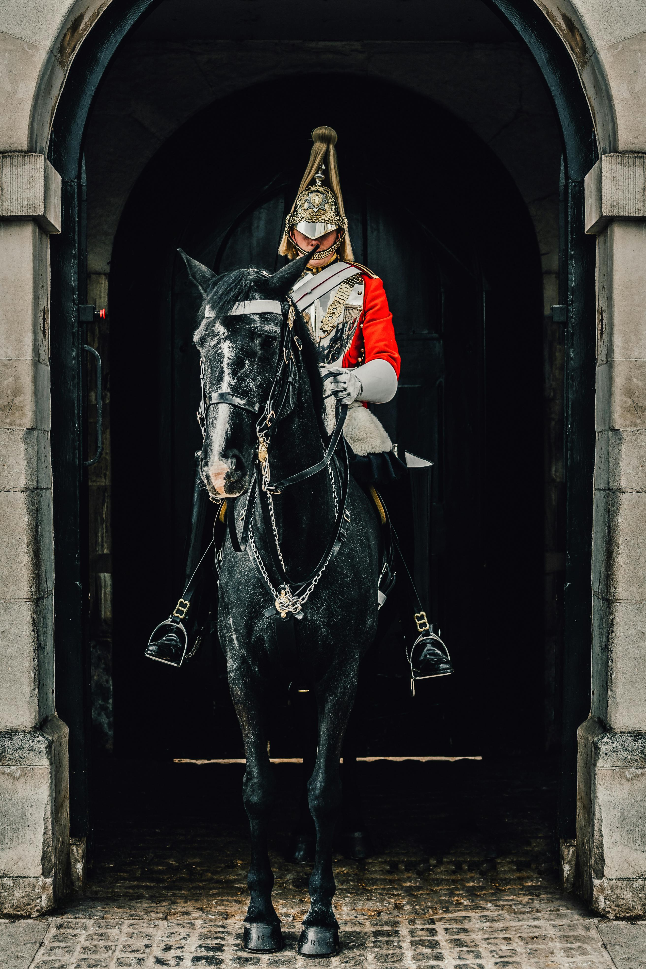 Medieval Cavalry Images  Browse 59 Stock Photos Vectors and Video   Adobe Stock