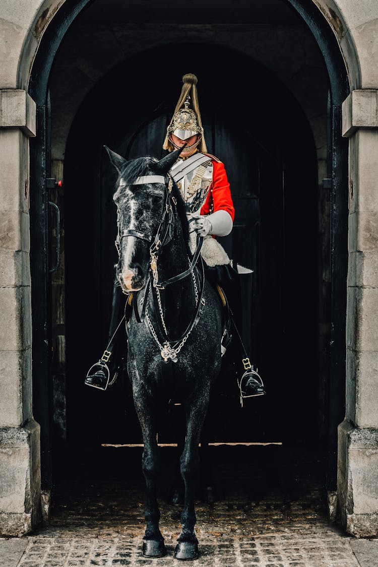 A Household Cavalry Guarding The Entrance