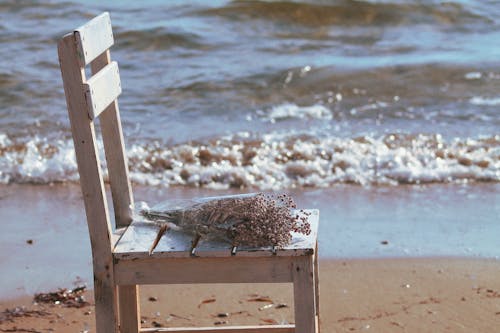 Bouquet of Flowers on Wooden Chair  Near Body of Water