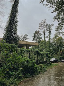 Overcast weather with lush greenery, trees, and wet pavement in a suburban neighborhood.