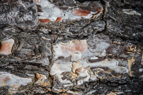 Fotobanka s bezplatnými fotkami na tému konštrukcia, láva, magma