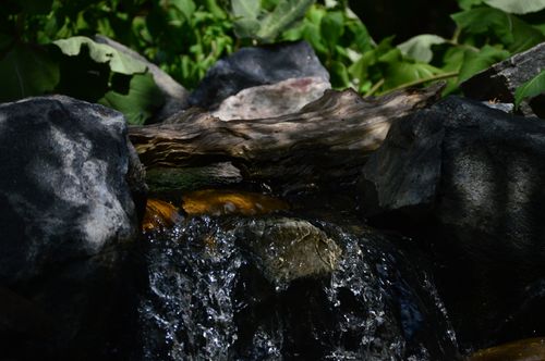Free stock photo of log, river, rock Stock Photo
