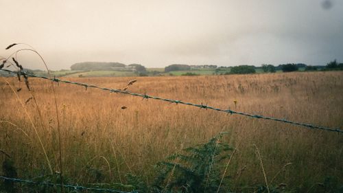 Free stock photo of agricultural field, barbed, barbed wire Stock Photo
