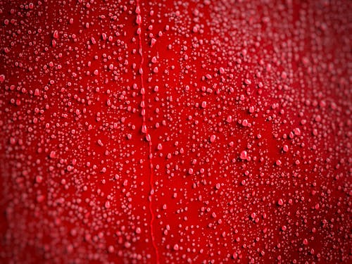 Fotobanka s bezplatnými fotkami na tému červená, farba, kvapky dažďa