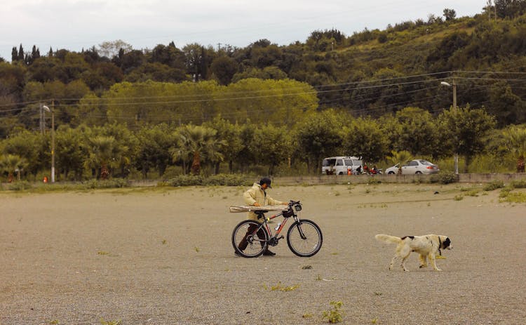 Man Walking With Dog On Beach