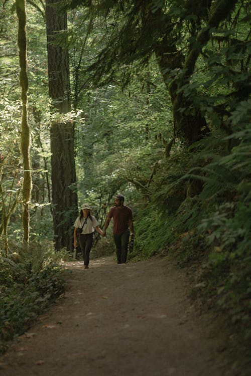 Free Couple Walking on Pathway in the Woods Stock Photo