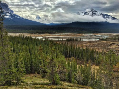 Free stock photo of banff, beauty, canada Stock Photo