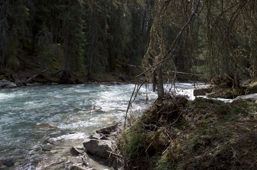 Free stock photo of canada, clear water, crystal clear Stock Photo