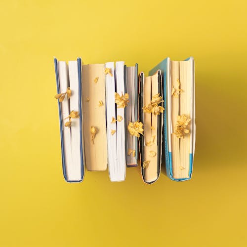 Ingyenes stockfotó könyvek, sárga felület, szárított virágok témában