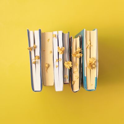 Children&rsquo;s books, photo by Nataly Q. on Pexels