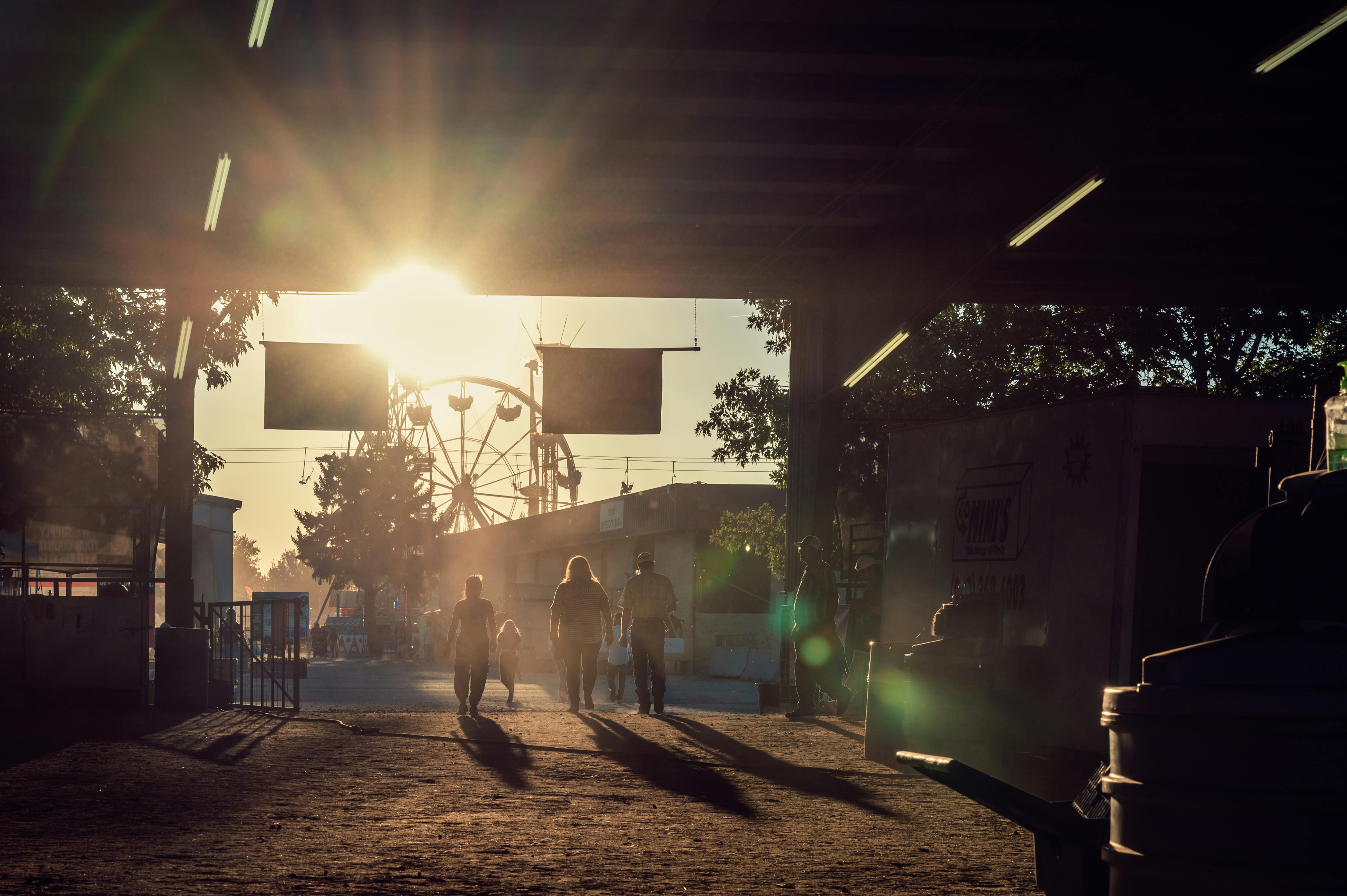 Brockton fair offers free health and wellness activities — Photo by Brett Sayles on Pexels