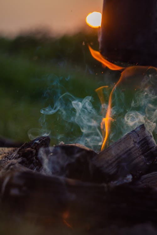 Free A Close-Up Shot of Burning Wood Stock Photo