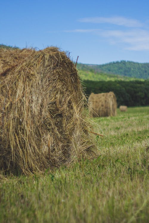 Brown Hay Bales on Green Grass Field