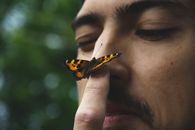 Black and Yellow Butterfly on Persons Finger