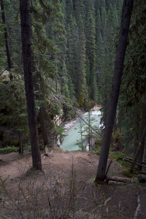 Free stock photo of canada, clear water, crystal clear Stock Photo