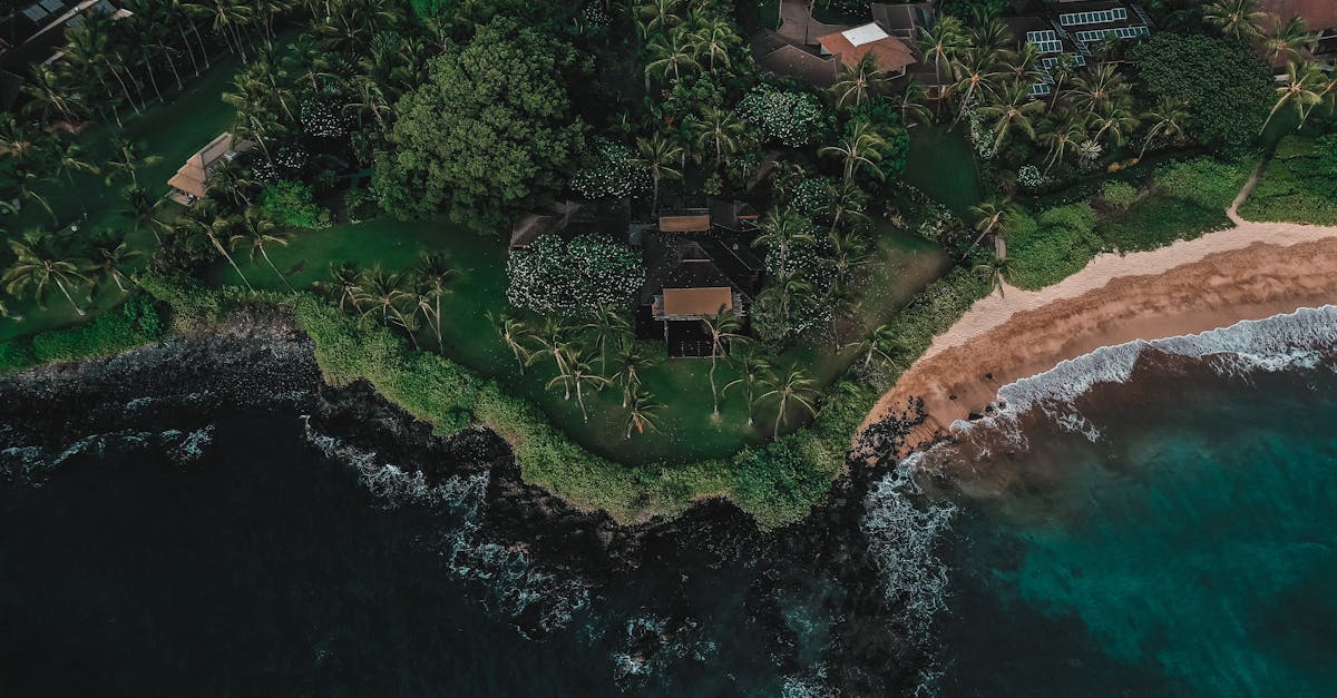 Photo by Katie Cerami A stunning aerial shot of Wailea-Makena's tropical coastline with lush greenery and vibrant ocean.