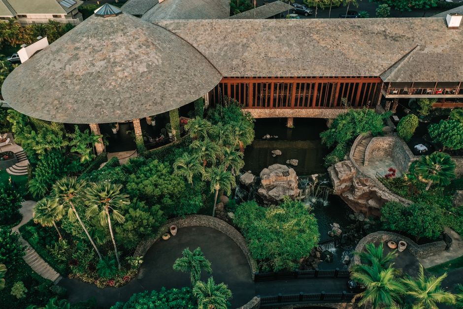 Discover a lush tropical resort garden from above, featuring palm trees and water features.