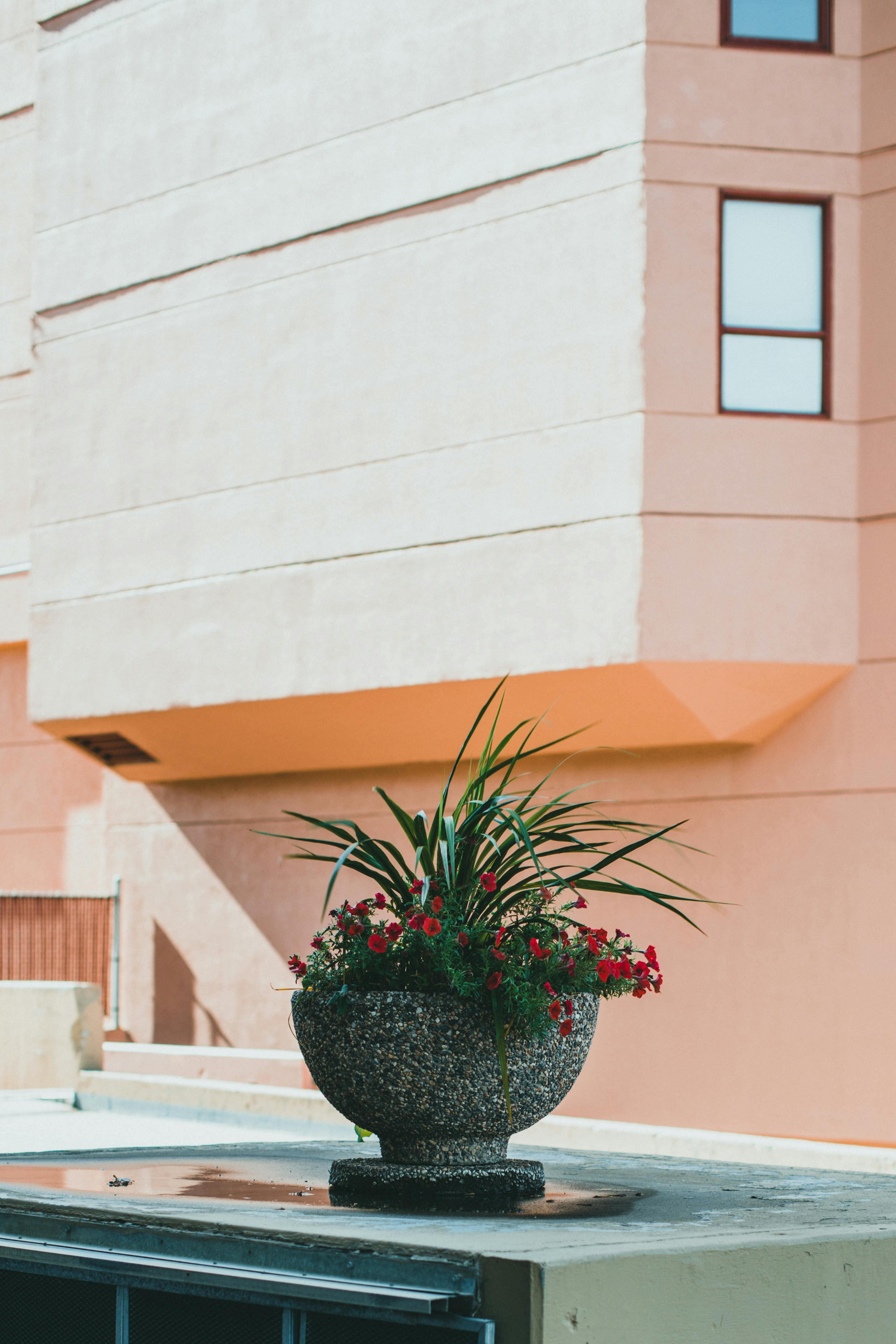 Stylish building exterior with potted plant in the foreground, bathed in daylight.