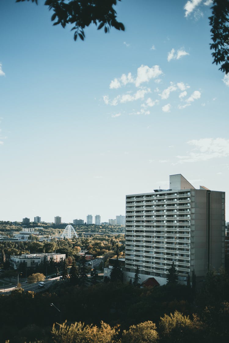 View Of A City From A Hill 