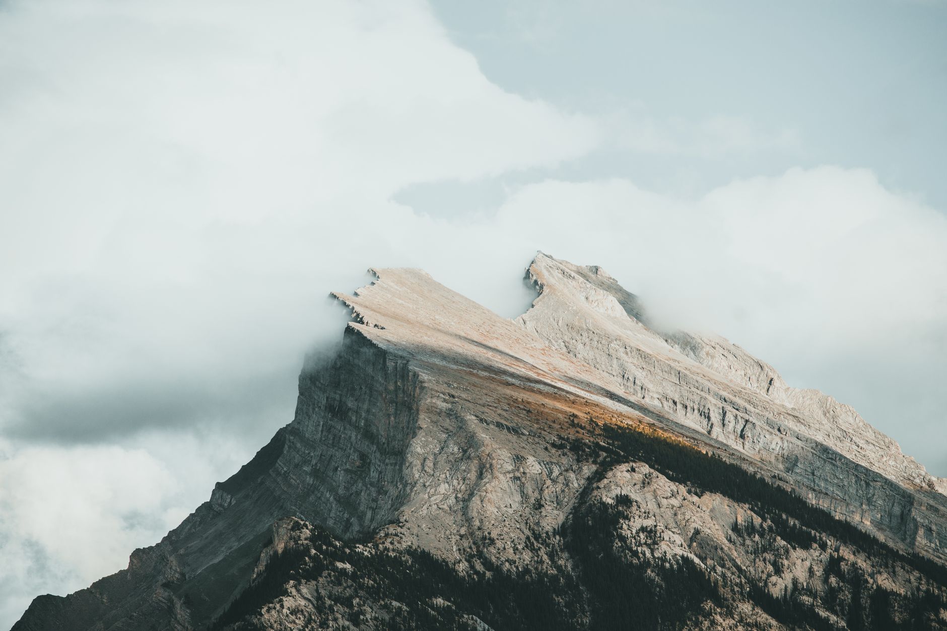 The last push to the summit