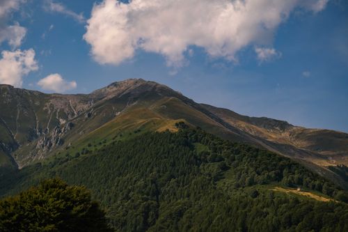 Free Aerial view of a breathtaking mountain landscape with a lush green forest under a vibrant blue sky. Stock Photo