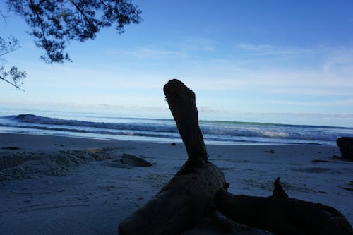 Бесплатное стоковое фото с пляж