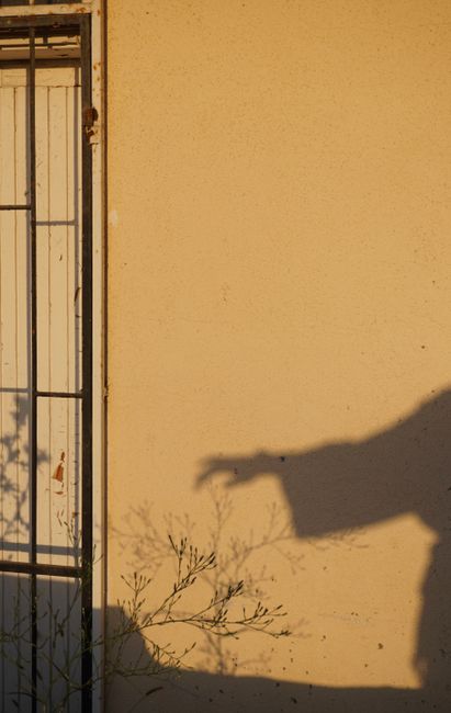 Artistic shadow silhouette on a yellow wall during sunset, outdoors.
