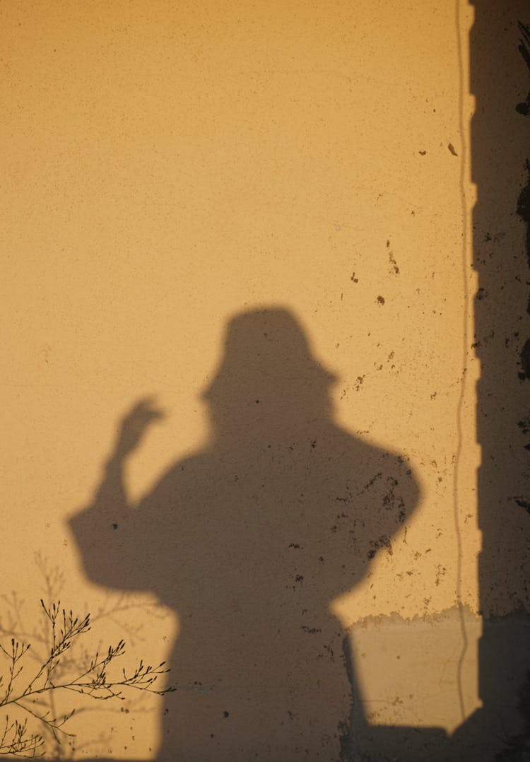 A Shadow Silhouette Of A Woman On A Wall