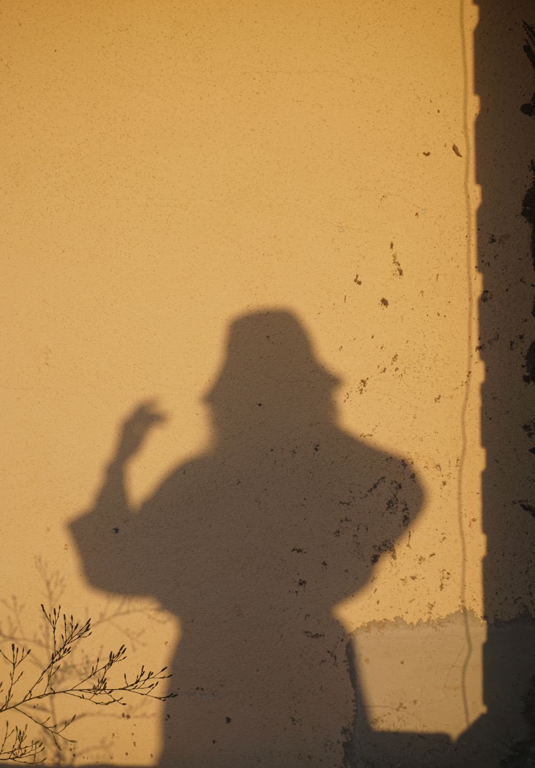 A shadow silhouette of a woman on a wall · Free Stock Photo