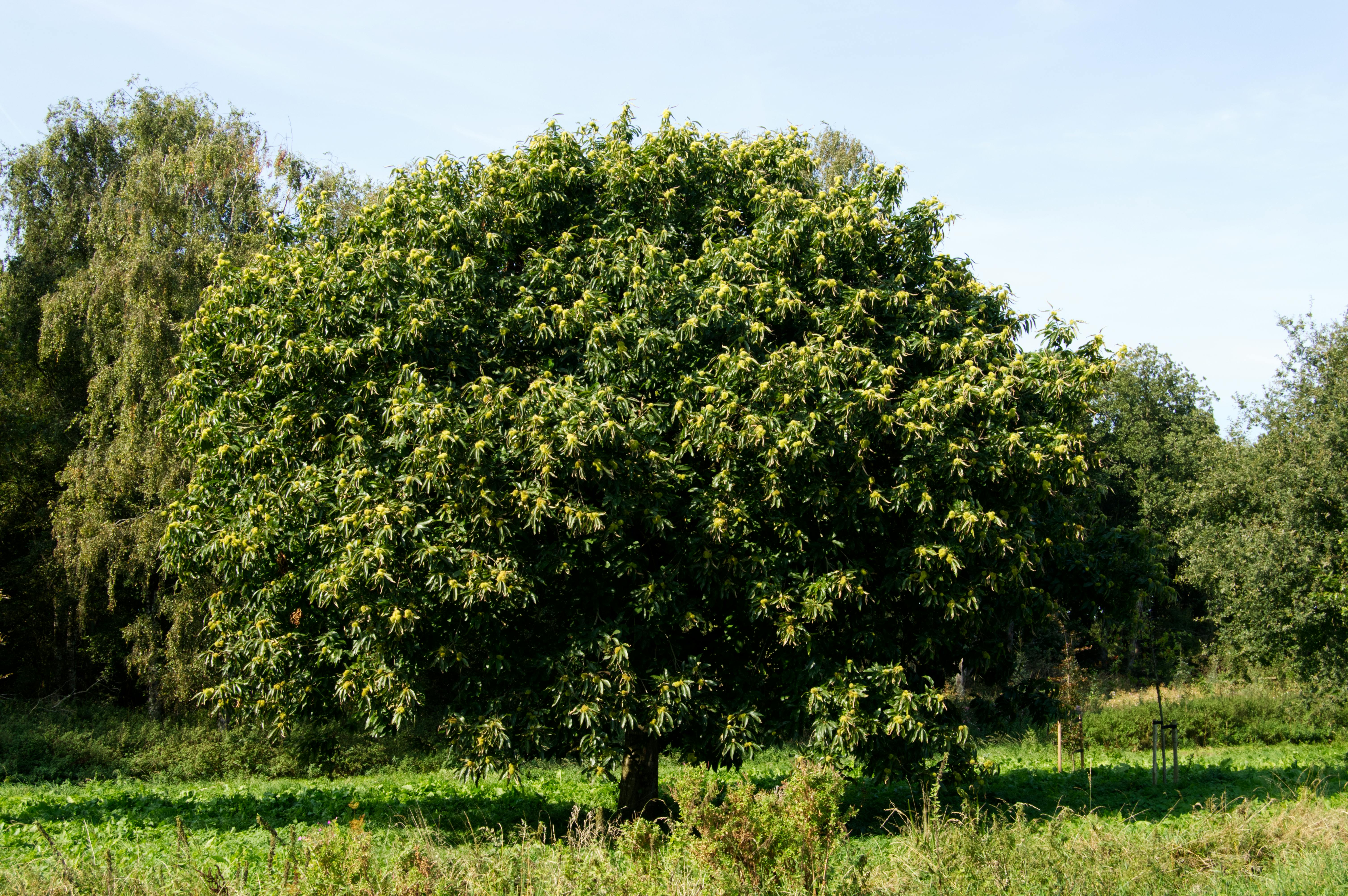 갤럭시 워치 비교