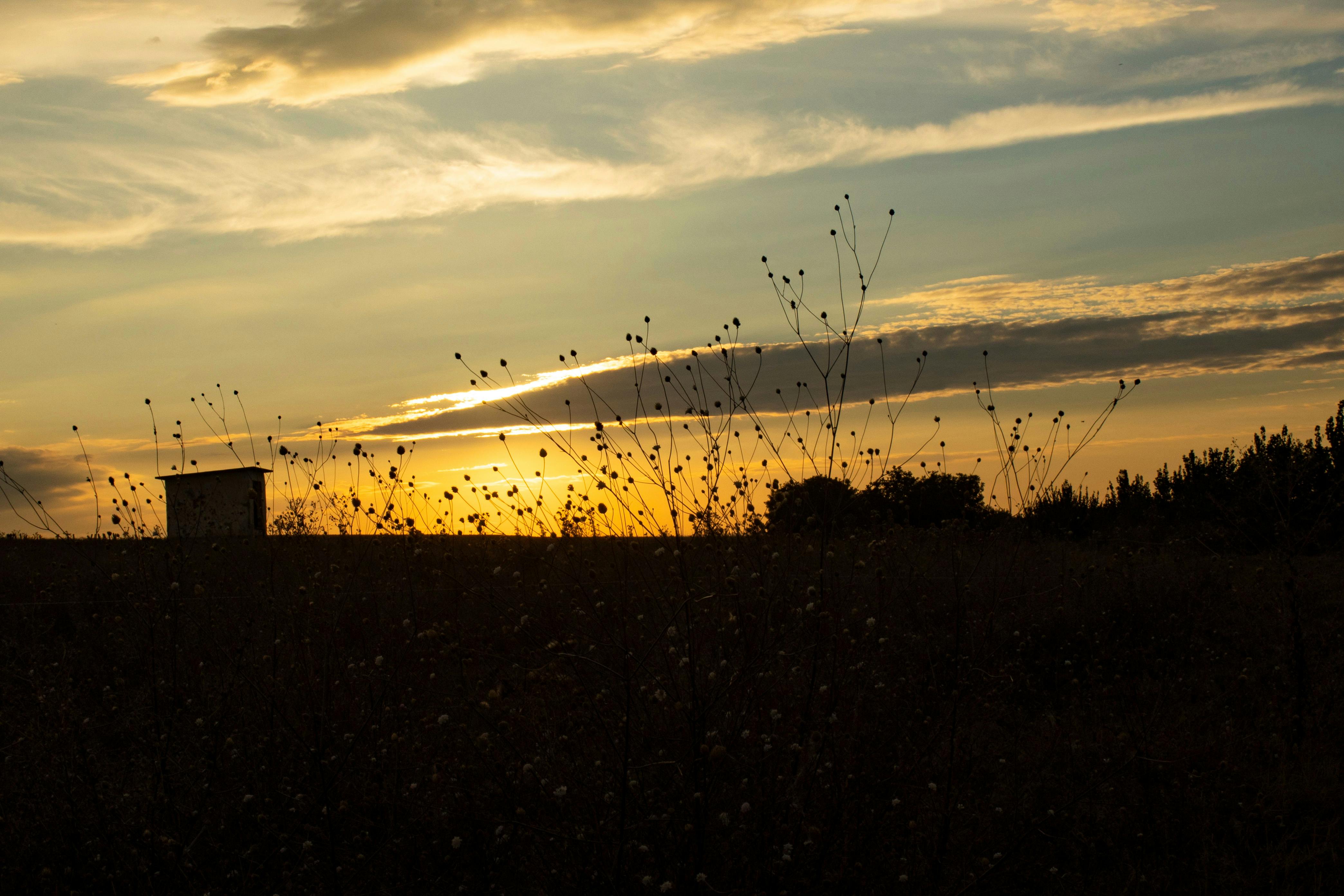 갤럭시 워치 착용샷