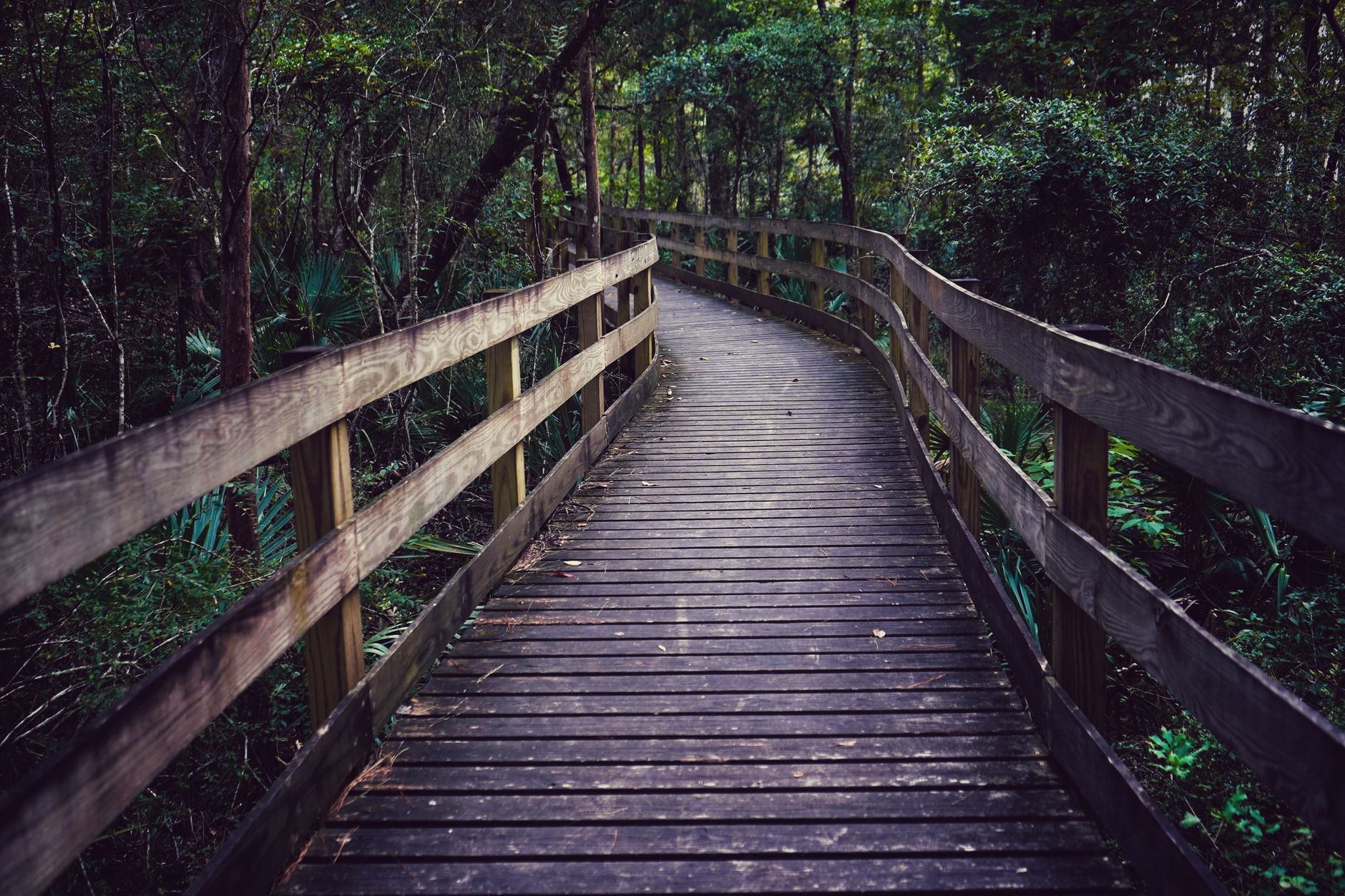 Nature's Trails: Freeform vs Structured