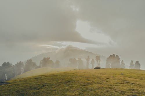 Ingyenes stockfotó felhő erdő, ködös táj, őszi hangulatú erdő témában