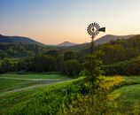 Green Grass Field With Green Trees and Mountain in Distance